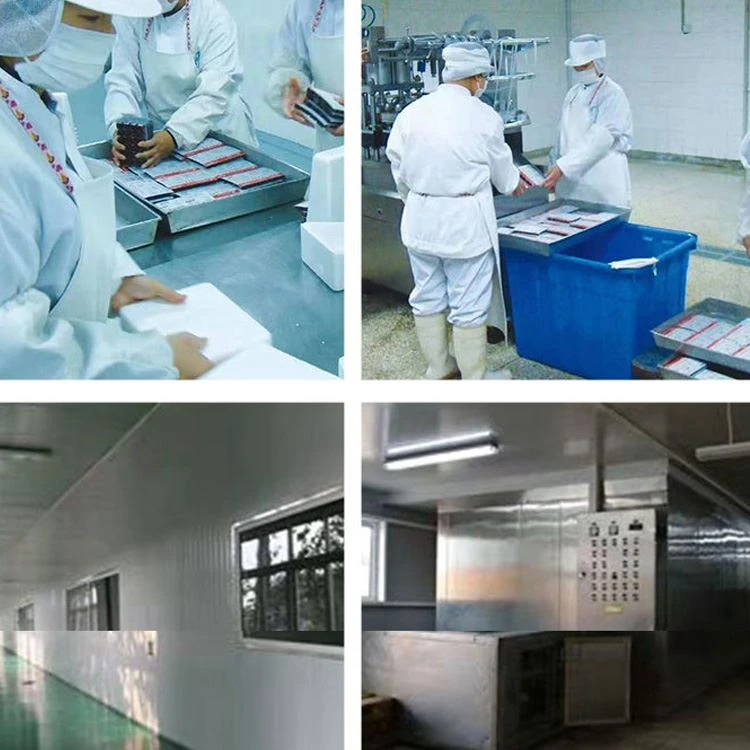 Frozen Brine Shrimp processing