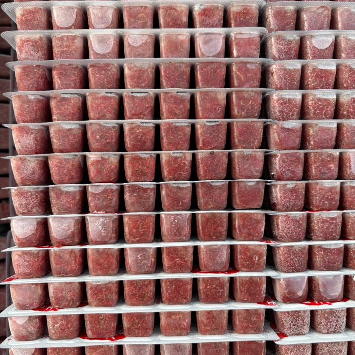 Frozen Bloodworm Blister Pack