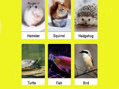 Applicable Fish Species Applicable Fish Species