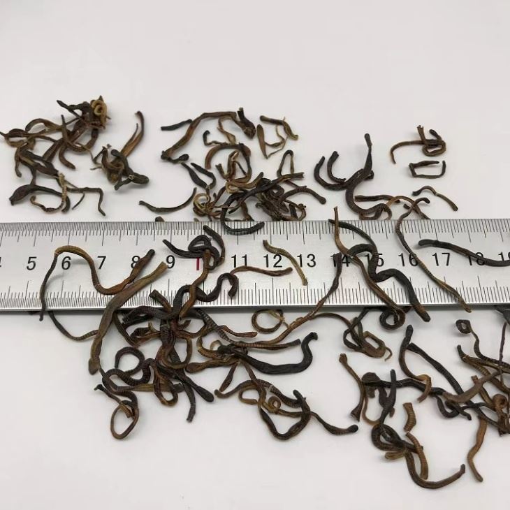Dried Earthworms food